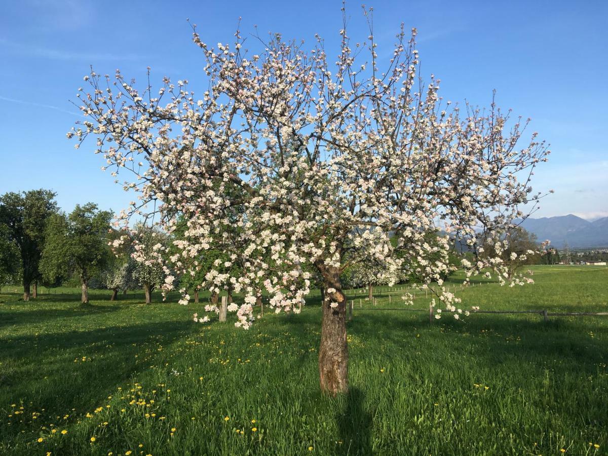 Rutarhof Διαμέρισμα Rosegg Εξωτερικό φωτογραφία